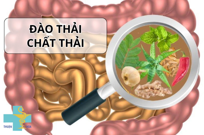 Hệ tiêu hóa của trẻ