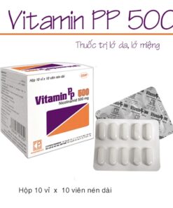 Vitamin PP 500