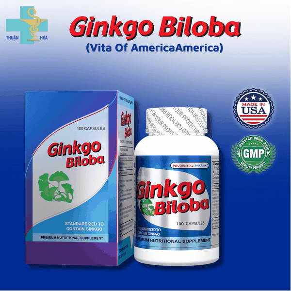 Ginkgo Biloba - Tăng Cường Lưu Thông Máu Não