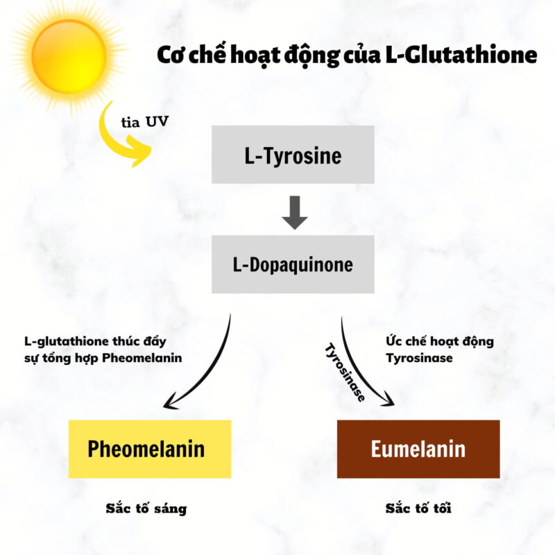 Gluthatione trắng da toàn thân