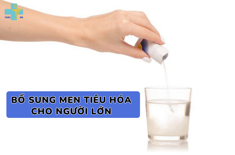 tác dụng của men tiêu hoá cho người lớn